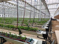 Glass Greenhouse of suspend strawberry planting in  Jiangsu