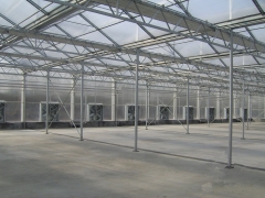 Cooling Pad & Fan System