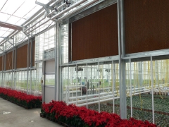 Cooling Pad & Fan System
