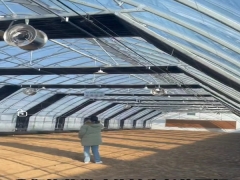 Light Deprivation Greenhouse