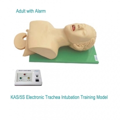Intubation Training Model Manikin Laryngoscope