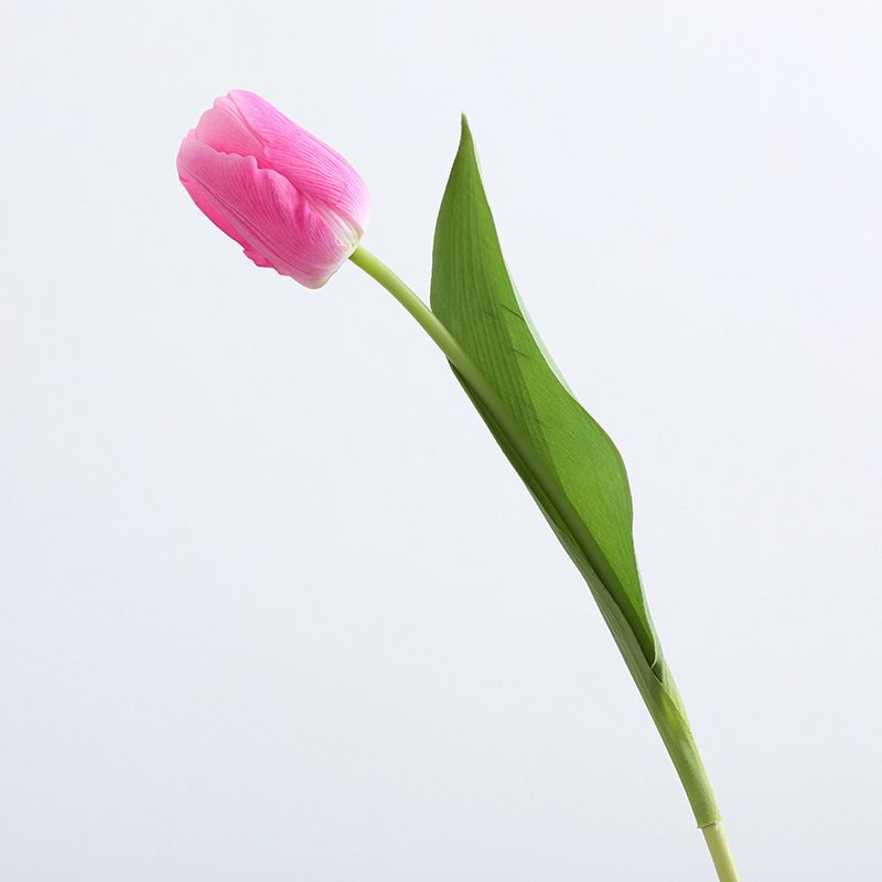 {产品},兰桂坊高端手感保湿郁金香北欧家居装饰摆件假花仿真郁金香组合装,兰桂坊高端手感保湿郁金香北欧家居装饰摆件假花仿真郁金香组合装,UPAD775 MyShop