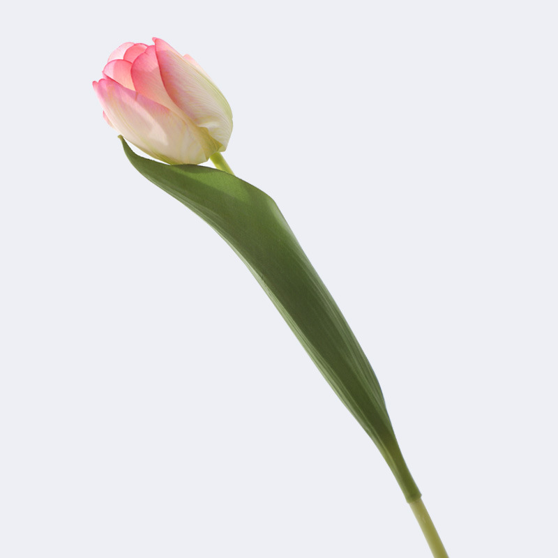 {产品},兰桂坊高端手感保湿郁金香北欧家居装饰摆件假花仿真郁金香组合装,兰桂坊高端手感保湿郁金香北欧家居装饰摆件假花仿真郁金香组合装,UPAD775 MyShop
