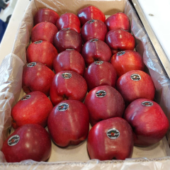 {产品},优质产地意大利松脆可口新鲜水果红色美味苹果125厘米出口,优质产地意大利松脆可口新鲜水果红色美味苹果125厘米出口,UPAD775 MyShop