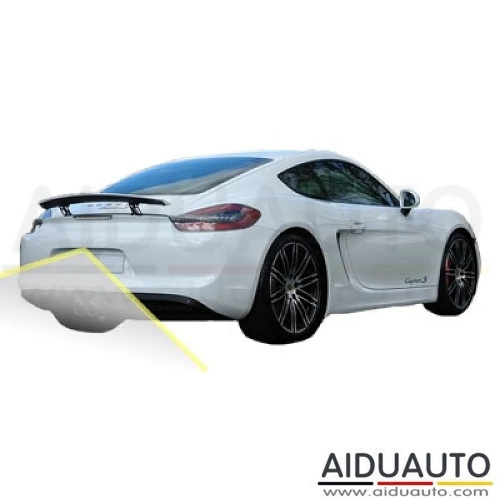 Porsche Cayman with PCM3.1 System Reversing Camera Kit