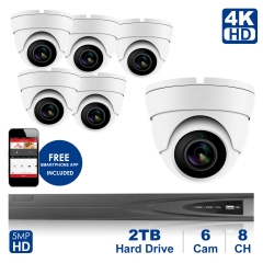 Anpviz 8 channel 4K home security system with 6 Eyeball Dome 5MP 2592x1944P IP POE Cameras, 2TB Storage - Outdoor weatherproof IP Poe Security cameras, 100ft Night Vision - H.265+ , Plug and Play,Remote Home Monitoring System, IPK768315W-6