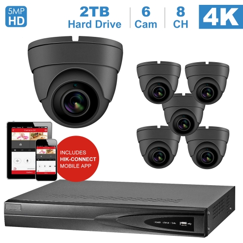 Anpviz 8 channel 4K home security system with 6 Eyeball Dome 5MP 2592x1944P IP POE Cameras, 2TB Storage - Outdoor weatherproof IP Poe Security cameras, 100ft Night Vision - H.265+ , Plug and Play,Remote Home Monitoring System, IPK768315G-6