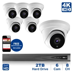 Anpviz 8 channel 4K home security system with 6 Turret Security Dome IP Camera 5MP 2592x1944P, 2TB Storage - Outdoor weatherproof IP Poe Security cameras, 100ft Night Vision - H.265+ , Plug and Play,Remote Home Monitoring System, IPK768035W-6 ( NVR By Hik
