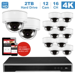 Anpviz 16 channel 4K home security system with 12 Dome 5MP 2592x1944P IP POE Cameras, 4TB Storage - Outdoor weatherproof IP Poe Security cameras, 100ft Night Vision - H.265+ , Plug and Play,Remote Home Monitoring System, IPK7616025WS-12