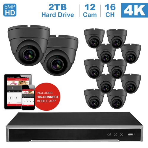 Anpviz 16 channel 4K home security system with 12 Dome 5MP 2592x1944P IP POE Cameras, 4TB Storage - Outdoor weatherproof IP Poe Security cameras, 100ft Night Vision - H.265+ , Plug and Play,Remote Home Monitoring System, IPK7616315G-12