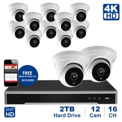 Anpviz 16 channel 4K home security system with 12 Dome 5MP 2592x1944P IP POE Cameras, 4TB Storage - Outdoor weatherproof IP Poe Security cameras, 100ft Night Vision - H.265+ , Plug and Play,Remote Home Monitoring System, IPK7616035-12