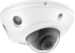 IPY-D298LDS2