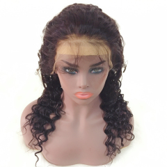 13*4 Frontal Lace Wig Deep Wave Virgin Hair