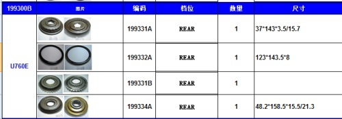 U760E PISTON KIT NAK 199300B