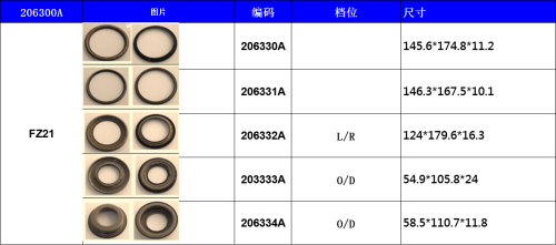 Z21 AUTOMATIC TRANSMISSION PISTON KIT NAK 206300A