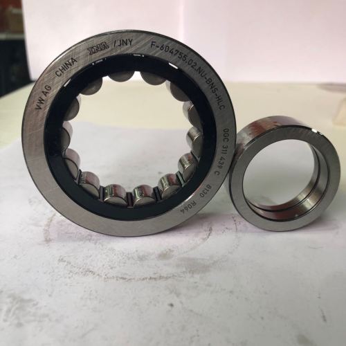 0GC automatic transmission bearing F-604755.02.NU Automotive Bearing / Cylindrical Roller Bearing 0GC-0002-OEM