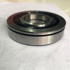 0GC automatic transmission bearing F-604755.02.NU Automotive Bearing / Cylindrical Roller Bearing 0GC-0002-OEM