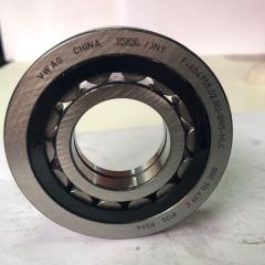 0GC automatic transmission bearing F-604755.02.NU Automotive Bearing / Cylindrical Roller Bearing 0GC-0002-OEM