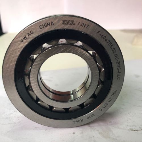 0GC automatic transmission bearing F-604755.02.NU Automotive Bearing / Cylindrical Roller Bearing 0GC-0002-OEM