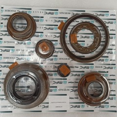 AL4-ATPK05MF1-AM DPO AL4 Automatic Transmission Piston kit 7pcs a kit for /RENAULT,CITROEN,PEUGEOT