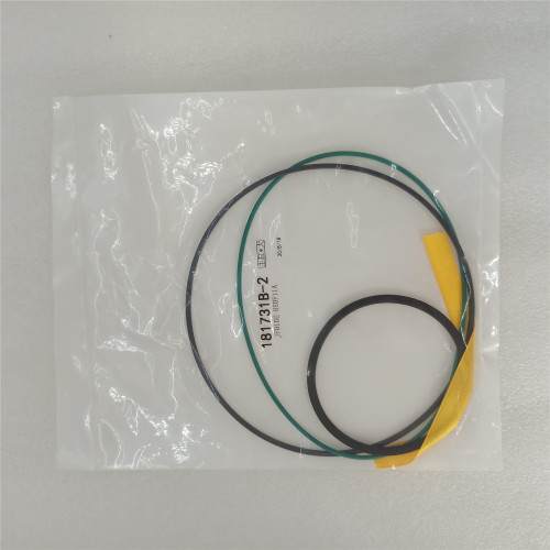 JF015E-0002-AM JATCO JF015E CVT RE0F11A Automatic Transmission pulley piston kit AM TZ181337B