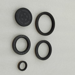 0AM-0081-OEM 0AM DQ200 seal kit 5pcs a kit OEM For VW Audi Skoda