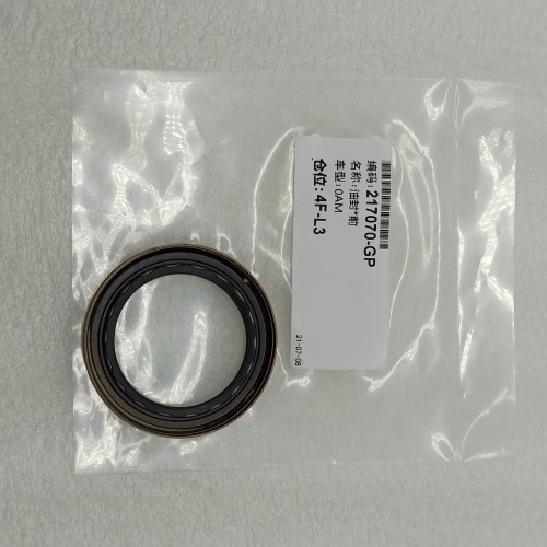 0AM-0081-OEM 0AM DQ200 seal kit 5pcs a kit OEM For VW Audi Skoda