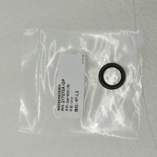 0AM-0081-OEM 0AM DQ200 seal kit 5pcs a kit OEM For VW Audi Skoda