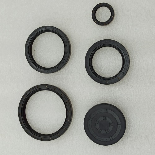 0AM-0081-OEM 0AM DQ200 seal kit 5pcs a kit OEM For VW Audi Skoda