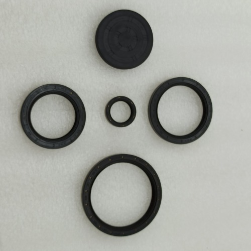 0AM-0081-OEM 0AM DQ200 seal kit 5pcs a kit OEM For VW Audi Skoda