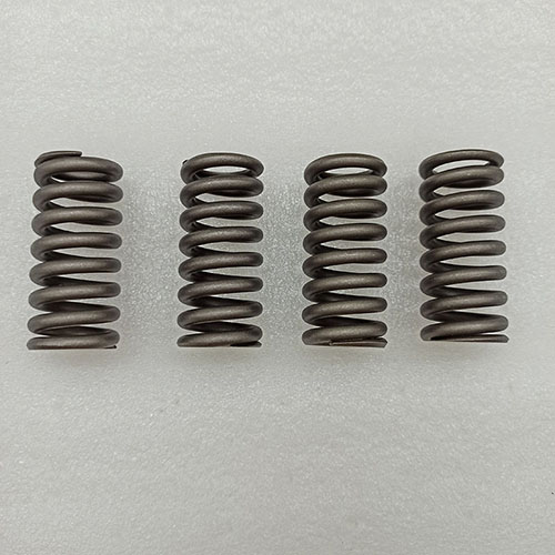 DCT360-0007-AM Damper Disk Rebuild Kit AM SHDT360/DCT360 TST DCT Transmission 6 Speed For ROEWE