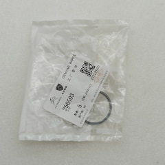 AL4-0028-OEM AL4 DP0 256503 Rear cover SLIP RING (Renault, Citroen & Peugeot) 4 Speed FWD