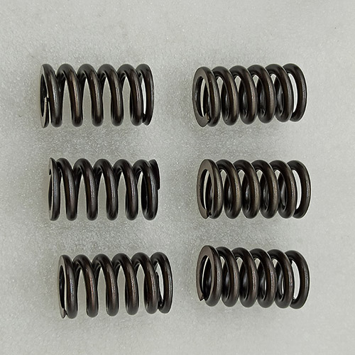 MPS6 damper disk spring set AM MPS6-0017-AM liuyong