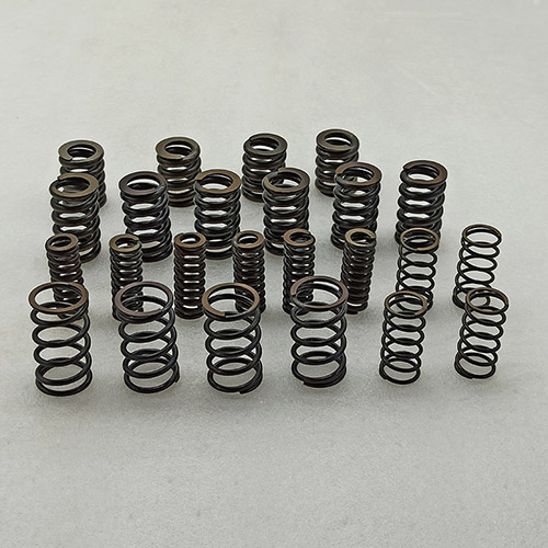 MPS6 damper disk spring set AM MPS6-0017-AM liuyong