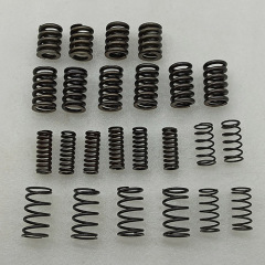 MPS6 damper disk spring set AM MPS6-0017-AM liuyong