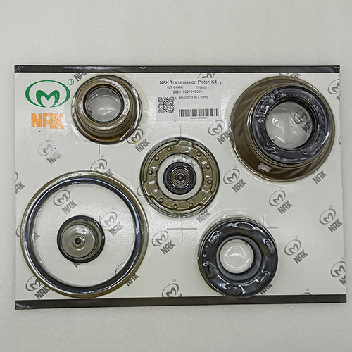 AL4-155300A-AM PISTON KIT AM NAK AL4/DPO Automatic Transmission 4 Speed For Peugeot Renault Chery