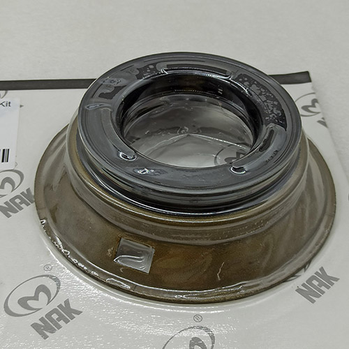 AL4-155300A-AM PISTON KIT AM NAK AL4/DPO Automatic Transmission 4 Speed For Peugeot Renault Chery