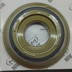 TF80SC-197300A-AM Piston Kit AM TF80SC Automatic Transmission 6 SPEED For Ford C adillac Mazda