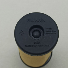 DCT360-0005-OEM Outer Filter OEM DCT Transmission 6 SPEED New And Oe For LEOPAARD