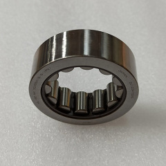 ZC-0110-OEM Bearing BE-NK 32-55-18.5 IPX 91103-RCL-003