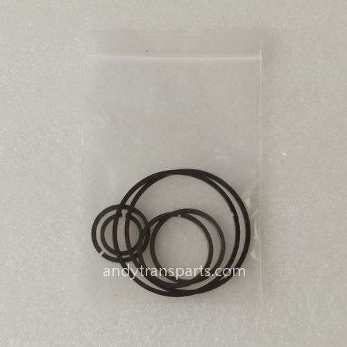 PSA 206 AL4 SLIP RING KIT 256503 256504 230456 221515