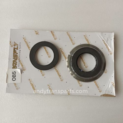 0B5 DL501 Automatic Transmission piston kit AM 0B5-0014-AM hzb