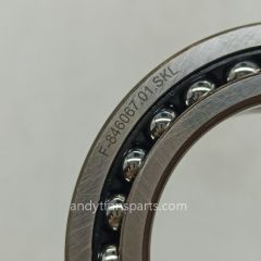 Automobile Gearbox Bearing F-846067 Angular Contact Ball Bearing F-846067.01