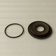9HP48-0023-OEM 9HP48 piston kit 2PCS A KIT