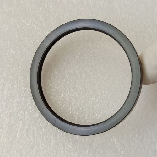 K120-0037-AM K120 start-stop pump seal 066404C 53*44*5.9