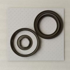 6T40-0056-OEM Piston Kit 4 Rings Type 5pcs a kit Early Generation