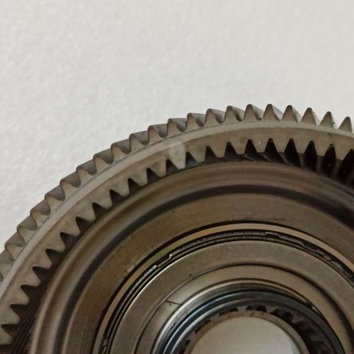 9HP48-0020-U1 9HP48 Planetary Ring Gear