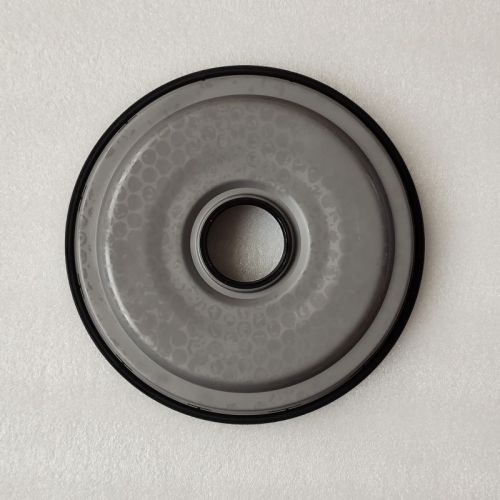 0BH-0039-AM-S 0BH Front Cover Seal With Spring