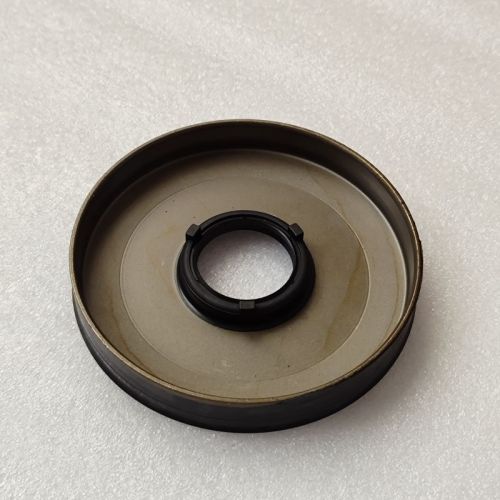 6L80E-195300A-AM 6L80E Piston Kit 5pcs a kit