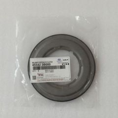 A6LF3-0006-OEM A6LF3 Piston Kit 45542-3B000 45442-3B000 2Pcs A Kit